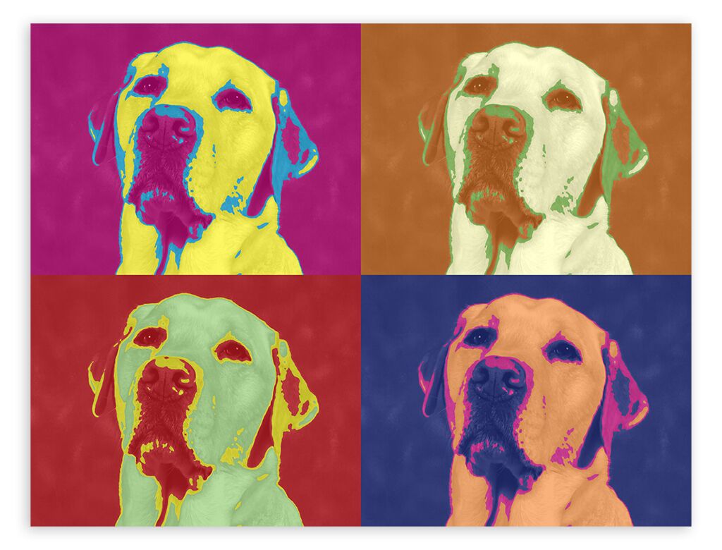 Постер 635 "Dog Pop Art" фото 1