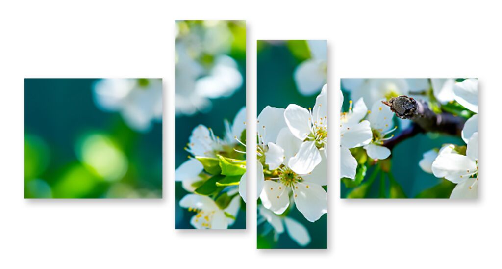 Модульная картина 1192 "Цветы яблони" фото 1