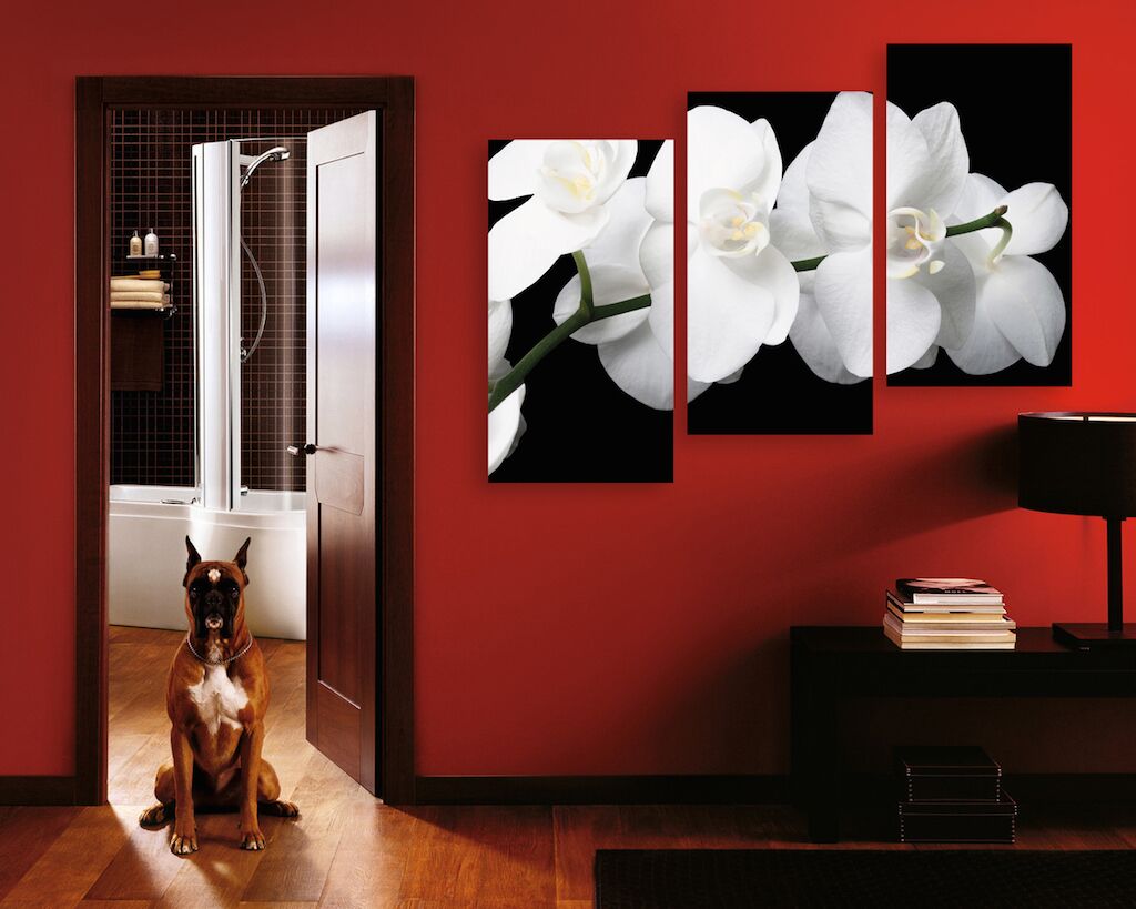 Модульная картина 23 "Белая орхидея" фото 2
