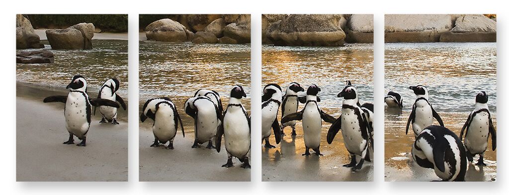 Модульная картина 281 "Пингвины" фото 1