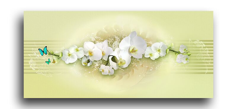 Постер 1436 "Пастельная орхидея" фото 1