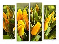 Модульная картина 3684 "Желтые тюльпаны"