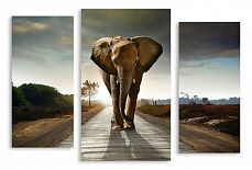 Модульная картина 2506 "Слон на дороге"