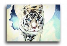 Постер 1239 "Белый тигр"