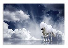 Постер 425 "Белая лошадь"