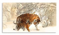 Постер 2610 "Тигрица с тигренком"