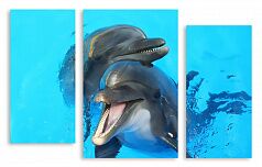 Модульная картина 2339 "Дельфины"