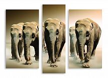 Модульная картина 3030 "Слоны"