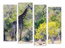 Модульная картина 3662 "Жираф"
