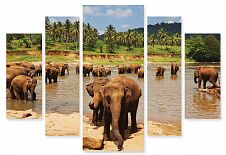 Модульная картина 218 "Слоны на водопаде"