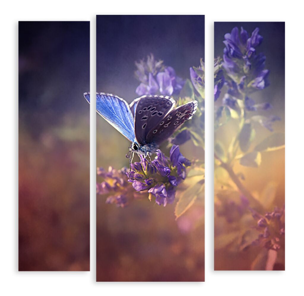 Модульная картина 440 "Бабочка" фото 1