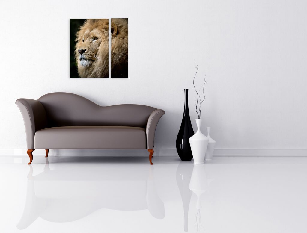 Модульная картина 1325 "Король лев" фото 4