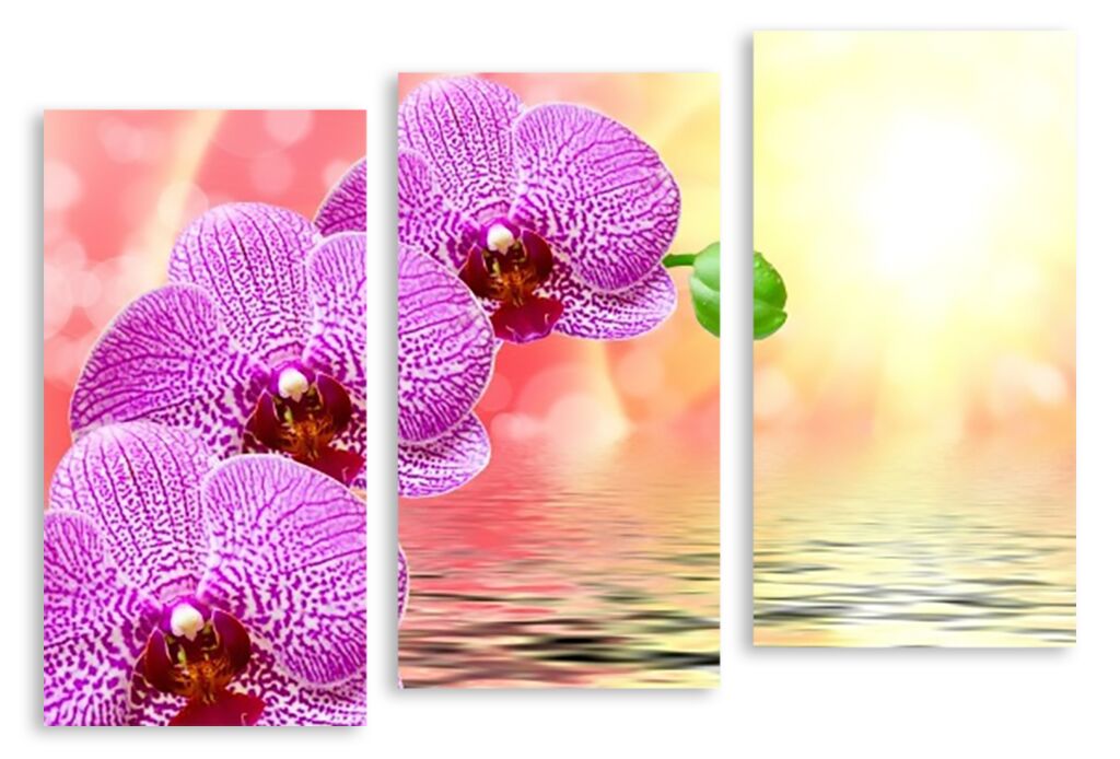 Модульная картина 2655 "Орхидеи" фото 1
