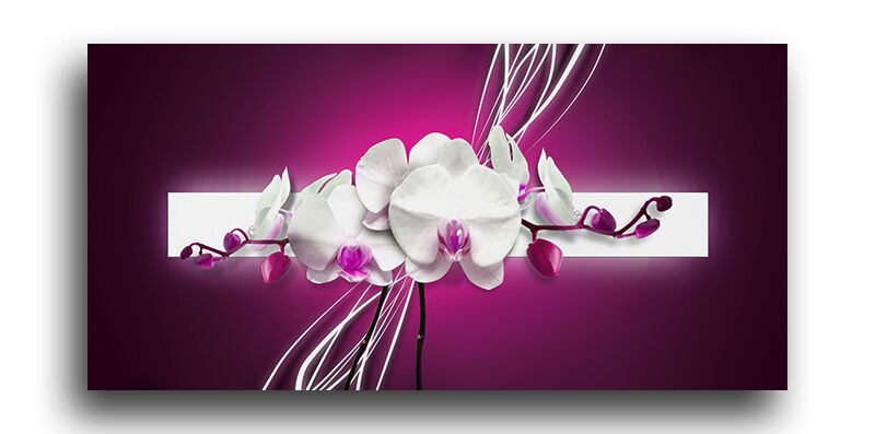 Постер 3041 "Белые орхидеи" фото 1