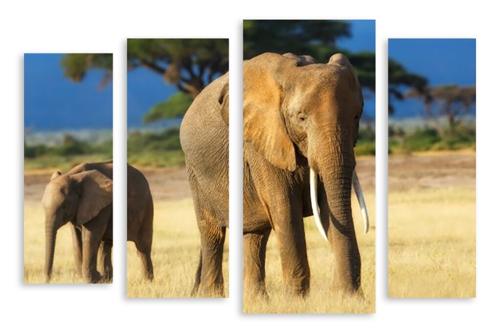 Модульная картина 3450 "Слон и слоненок" фото 1