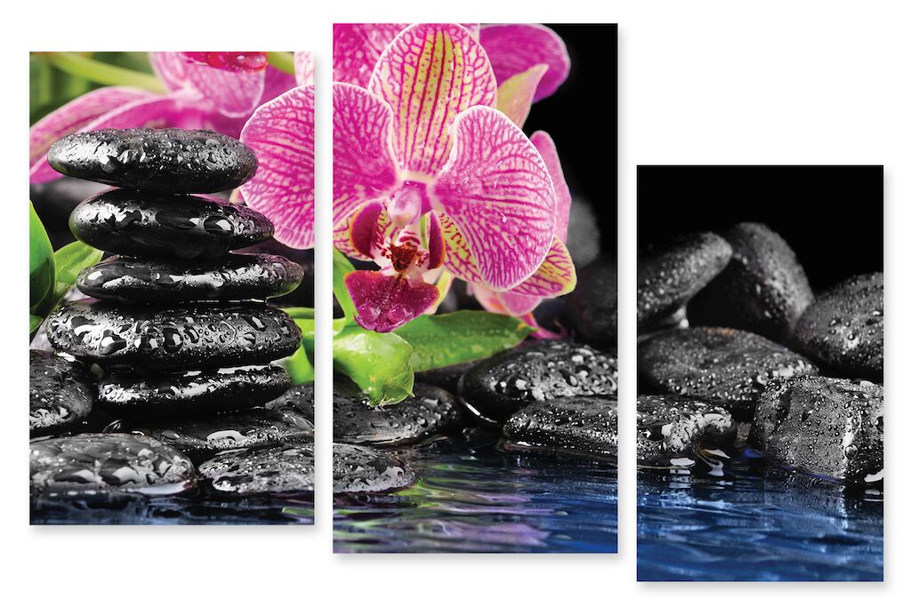 Модульная картина 38 "Камни и орхидея" фото 1