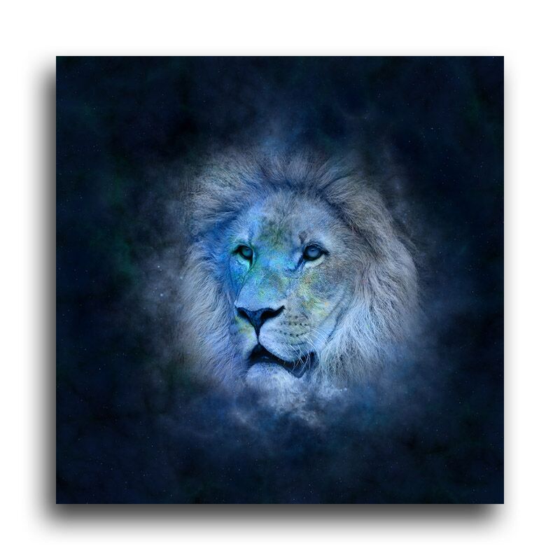 Постер 1294 "Сказочный лев" фото 1