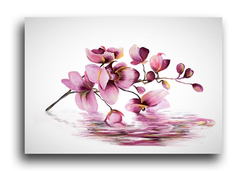 Постер 3042 "Орхидеи красками" фото 1