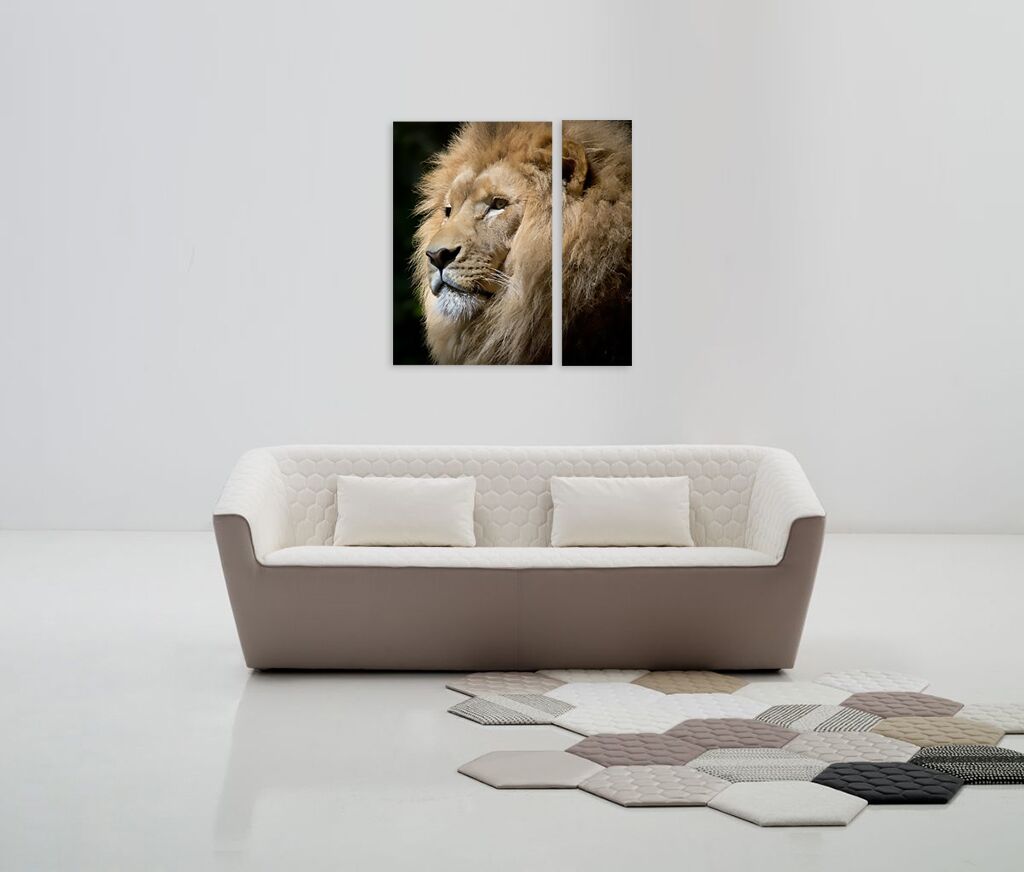 Модульная картина 1325 "Король лев" фото 3