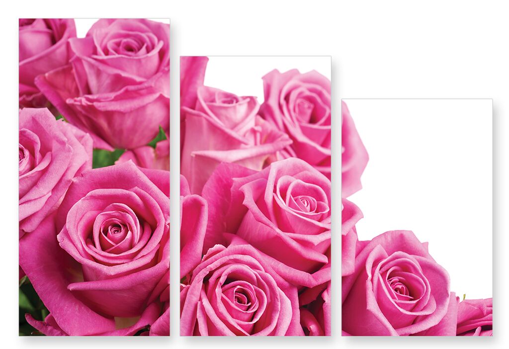 Модульная картина 249 "Розовые розы" фото 1
