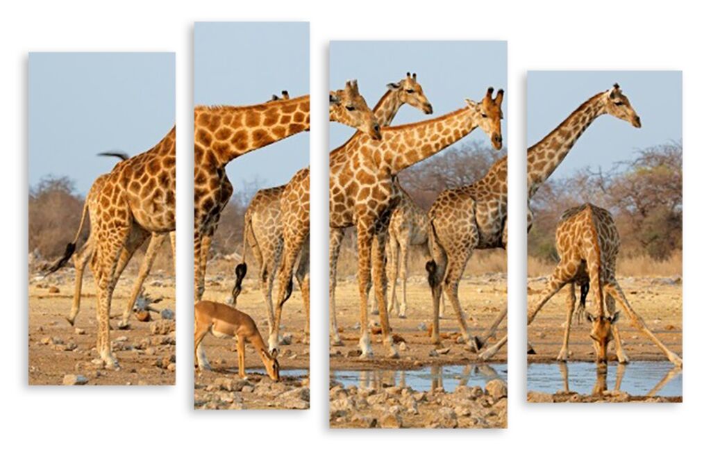 Модульная картина 3307 "Жирафы" фото 1