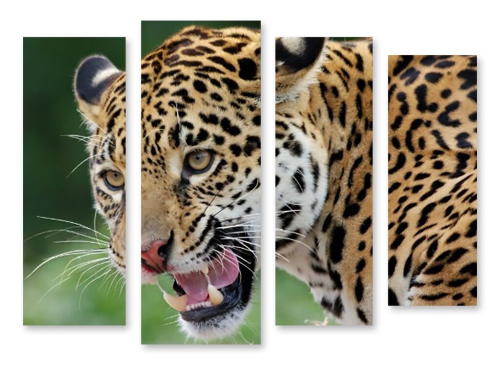 Модульная картина 2060 "Леопардовый ягуар" фото 1