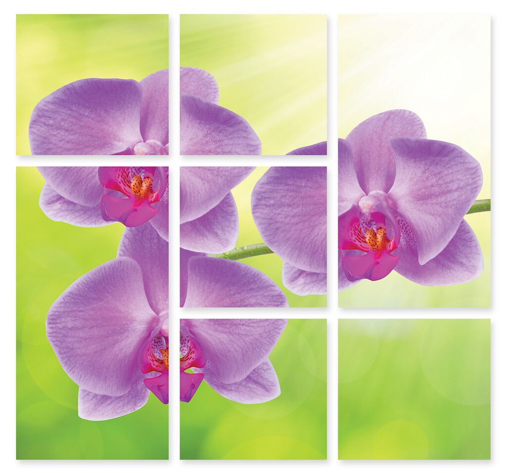 Модульная картина 237 "Розовая орхидея" фото 1