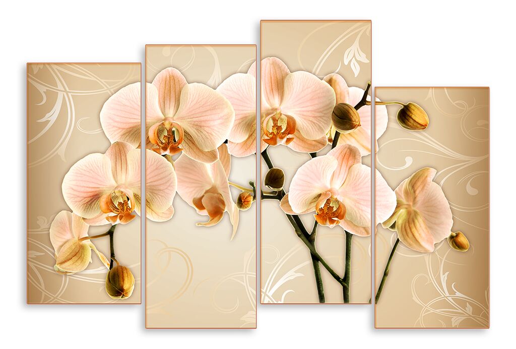 Модульная картина 4666 "Нежно-оранжевые орхидеи" фото 1