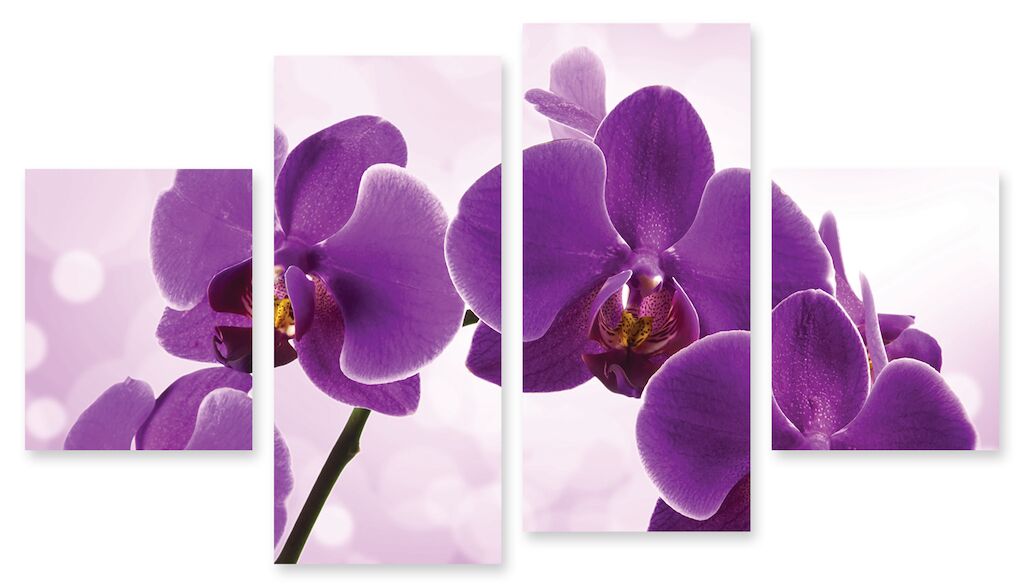 Модульная картина 148 "Орхидеи" фото 1