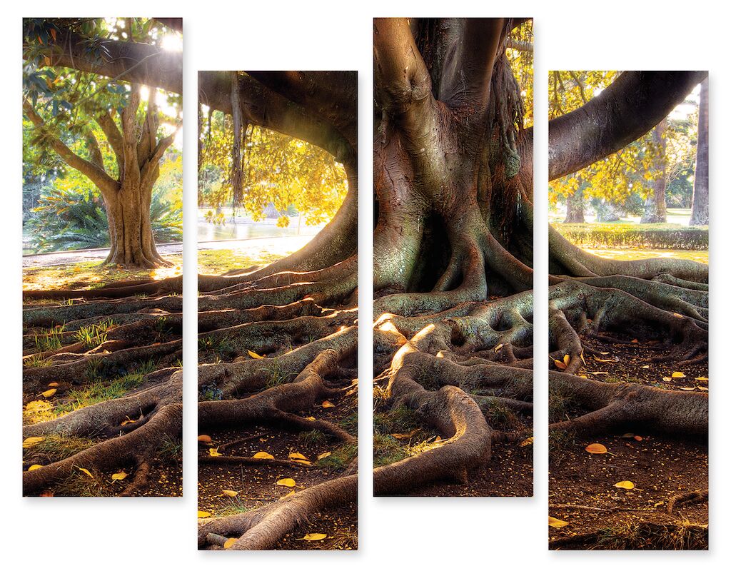 Модульная картина 163 "Корни дерева" фото 1