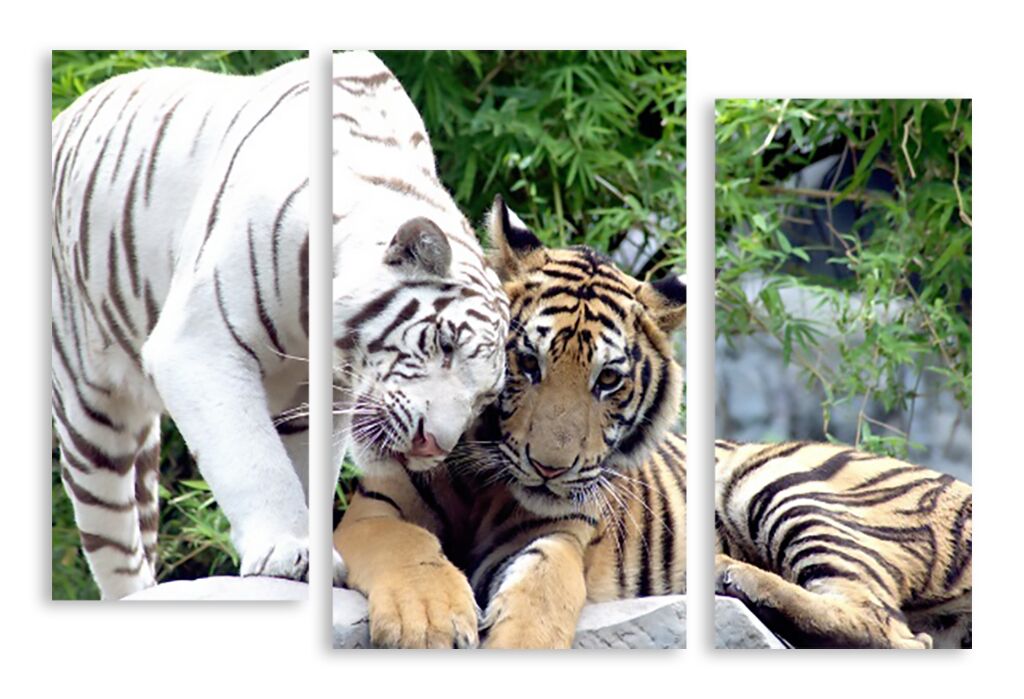 Модульная картина 2884 "Тигры" фото 1