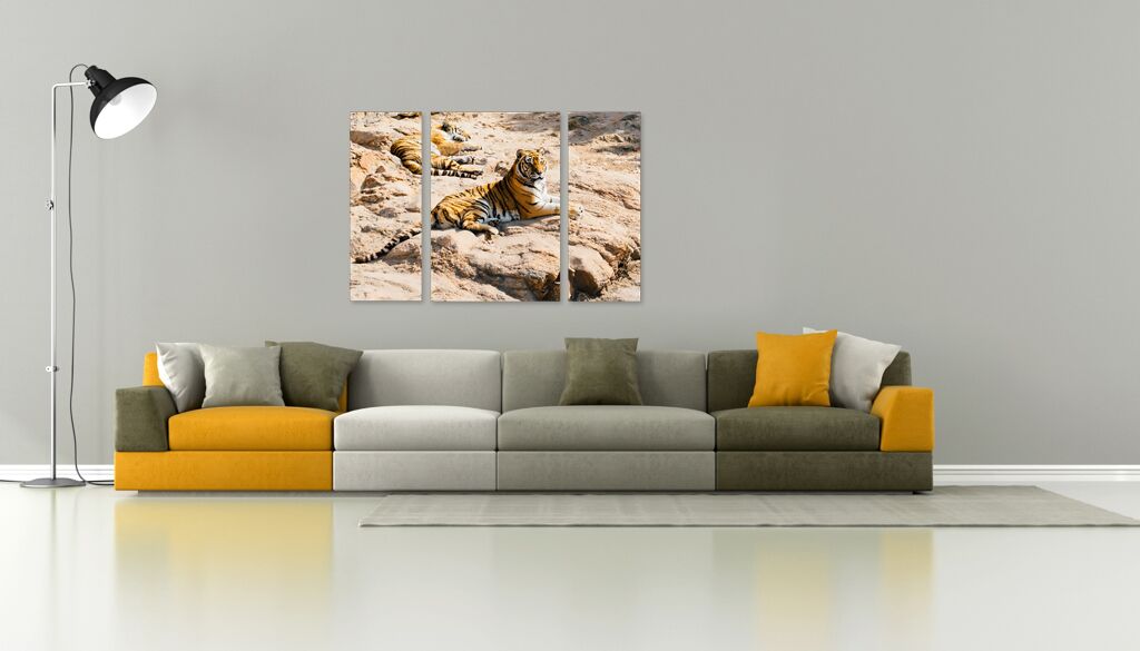 Модульная картина 1392 "Тигры на отдыхе" фото 3