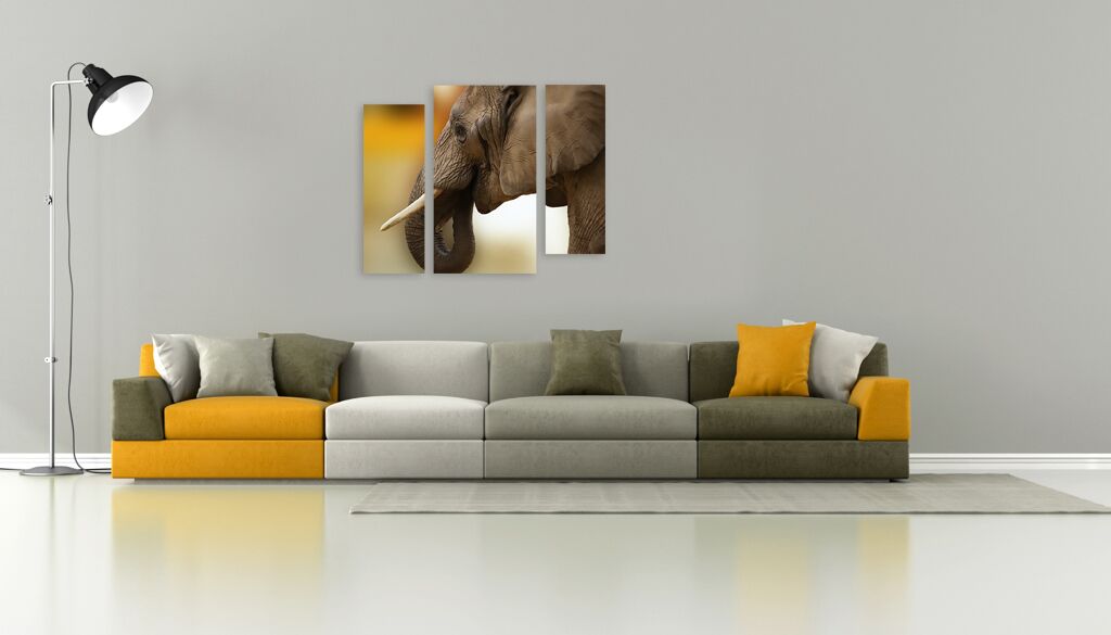 Модульная картина 1409 "Профиль слона" фото 4
