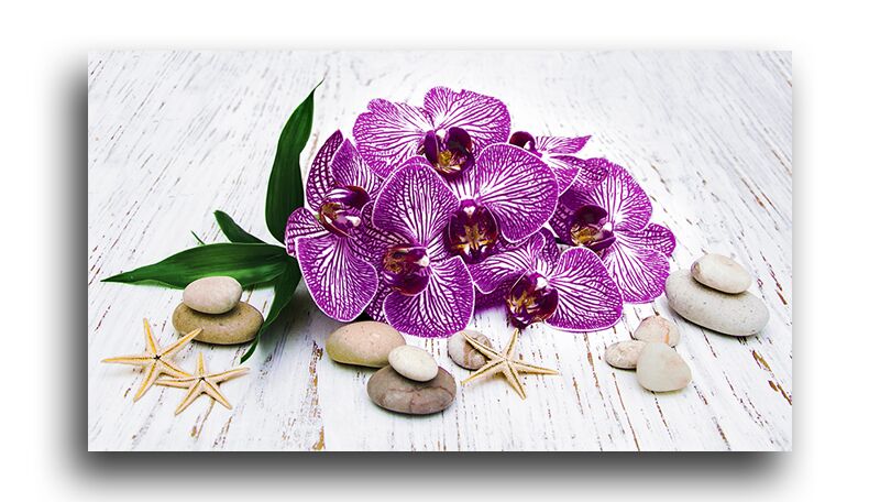 Постер  5556 "Орхидеи" фото 1