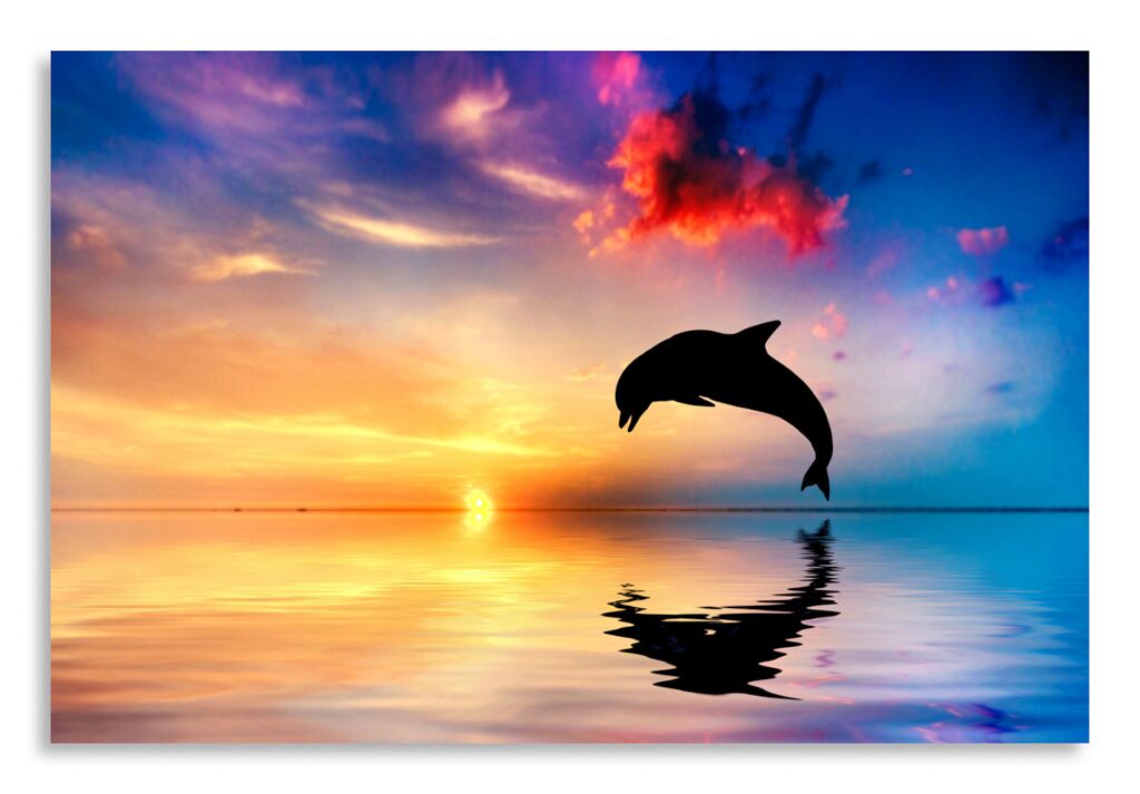 Постер 2853 "Дельфин" фото 1