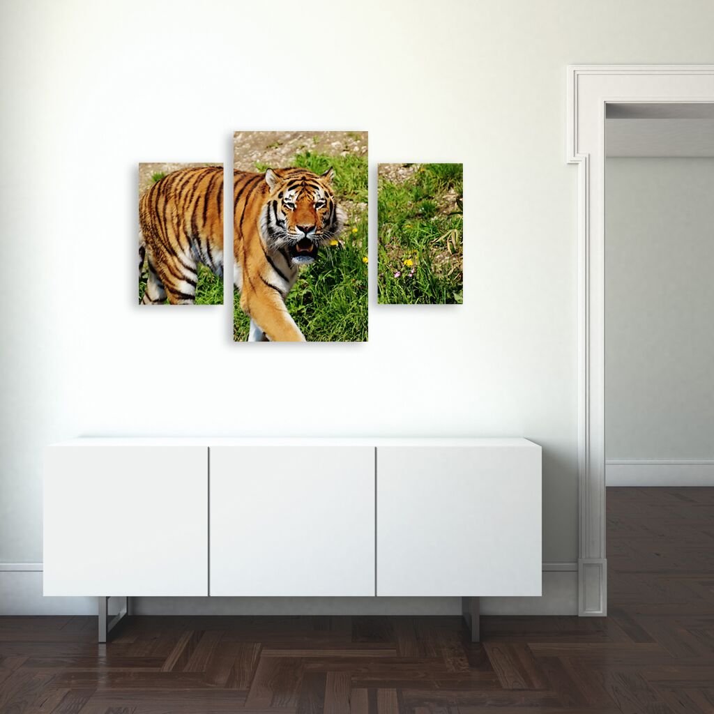 Модульная картина 1389 "Прогулка тигра" фото 3