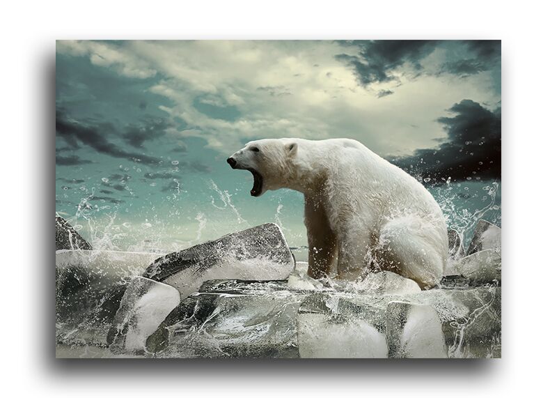 Постер 217 "Белый медведь" фото 1