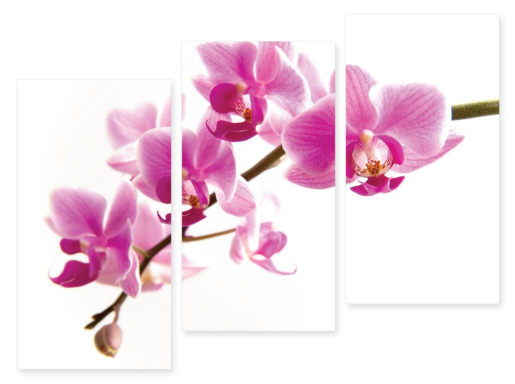 Модульная картина 196 "Розовые орхидеи" фото 1