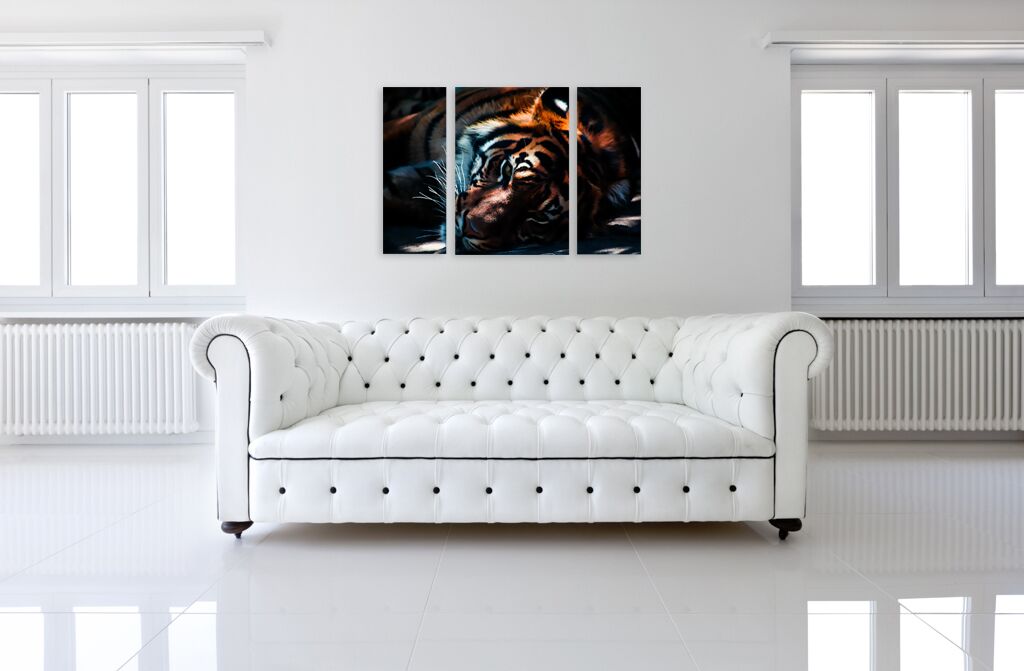 Модульная картина 1361 "Тигр на отдыхе" фото 4