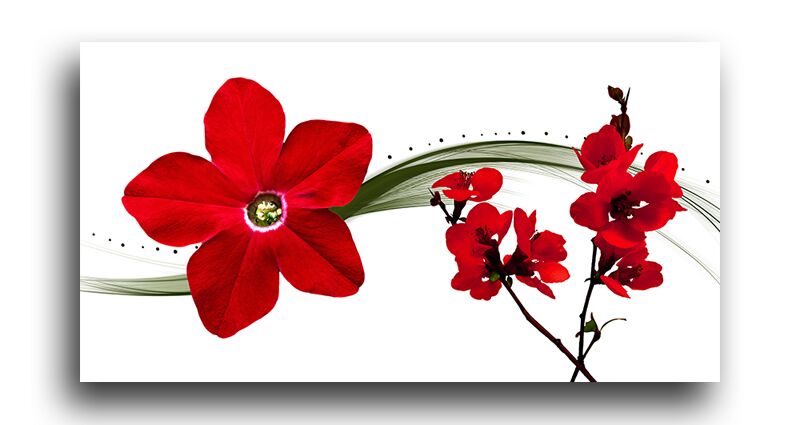 Постер 5140 "Красные цветы" фото 1