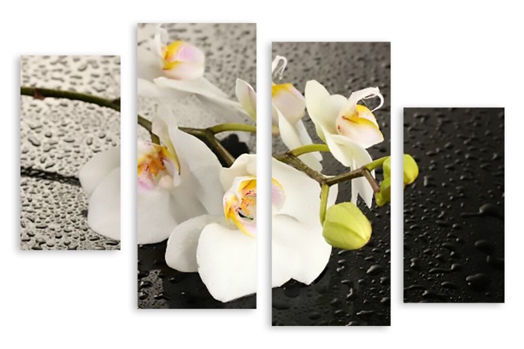 Модульная картина 2155 "Белые орхидеи" фото 1
