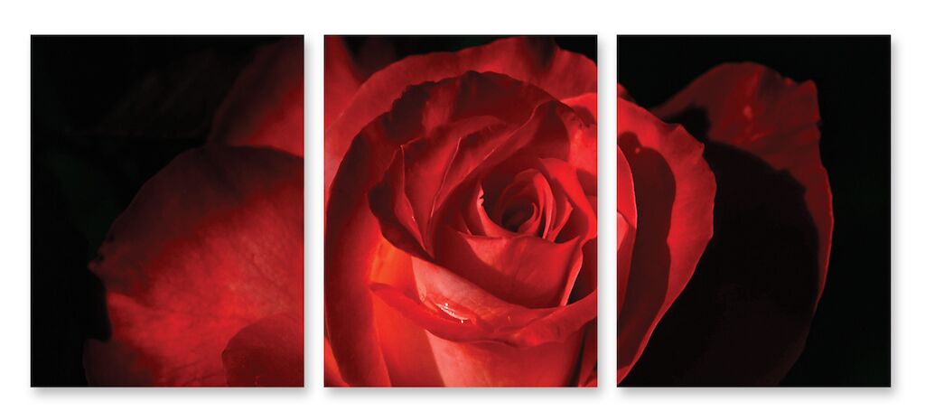 Модульная картина 136 "Бутон розы" фото 1