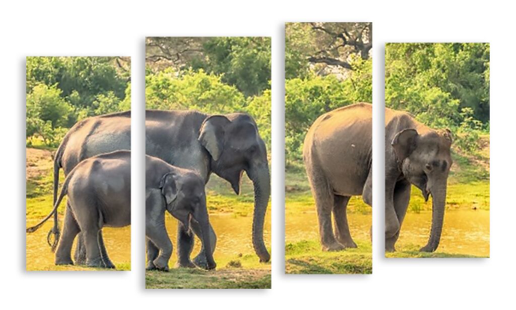 Модульная картина 3264 "Слоны" фото 1