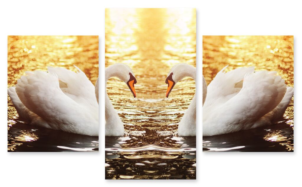 Модульная картина 144 "Лебеди" фото 1