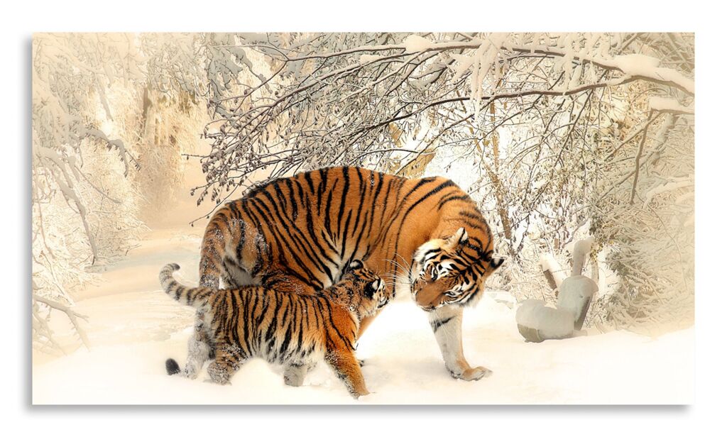 Постер 2610 "Тигрица с тигренком" фото 1