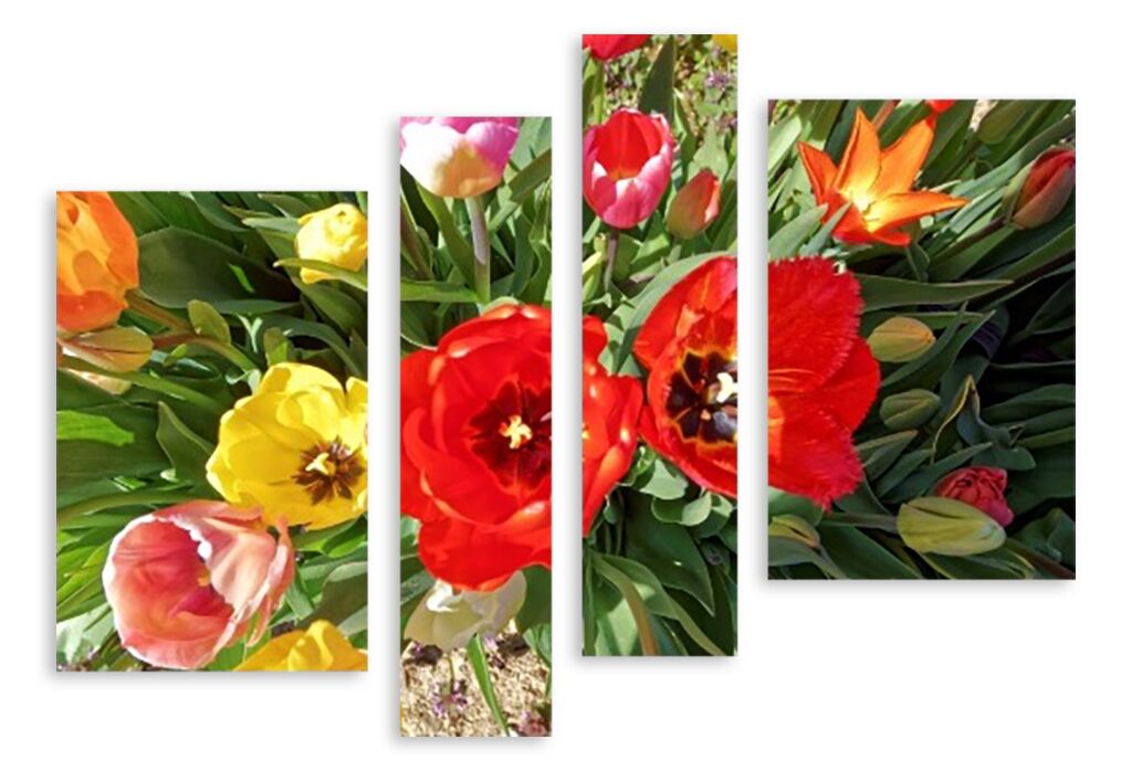 Модульная картина 3598 "Весенние тюльпаны" фото 1