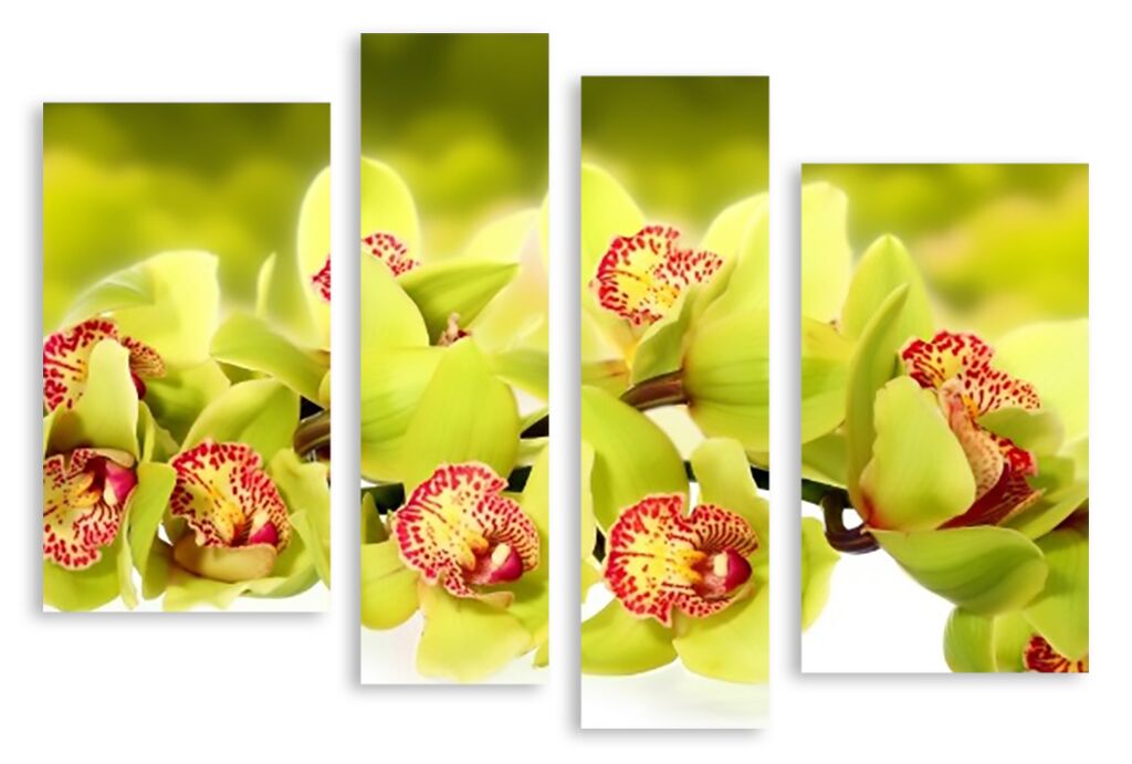 Модульная картина 2414 "Зеленые орхидеи" фото 1