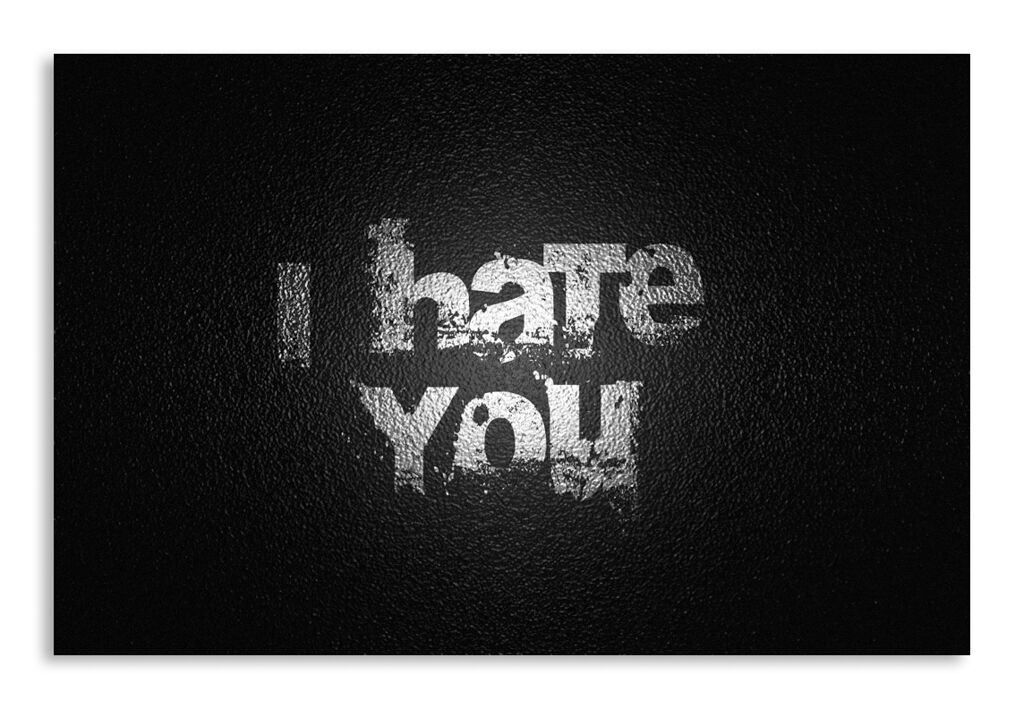 Постер 974 "I hate you" фото 1