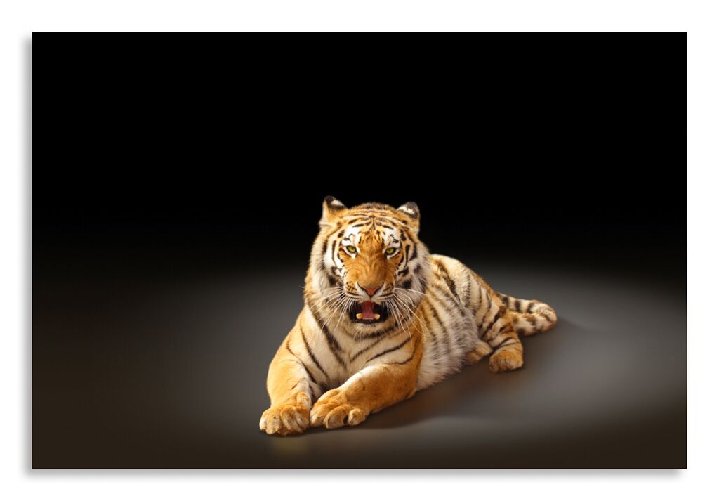 Постер 2660 "Тигр" фото 1