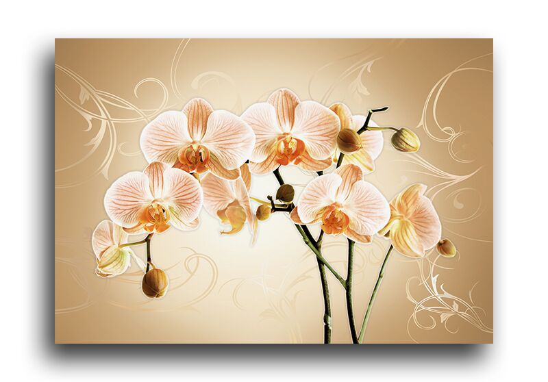 Постер 4666 "Нежно-оранжевые орхидеи" фото 1